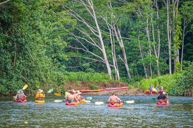 Group of kayakers paddling through calm Wailua River waters surrounded by tropical jungle on a Kayak Adventures Kauai excursion.