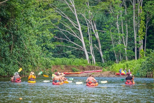 Group of kayakers paddling through calm Wailua River waters surrounded by tropical jungle on a Kayak Adventures Kauai excursion.