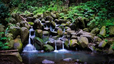 Small cascading waterfalls flowing over moss-covered rocks along the Wailua River trail, part of Kayak Adventures Kauai’s scenic route.