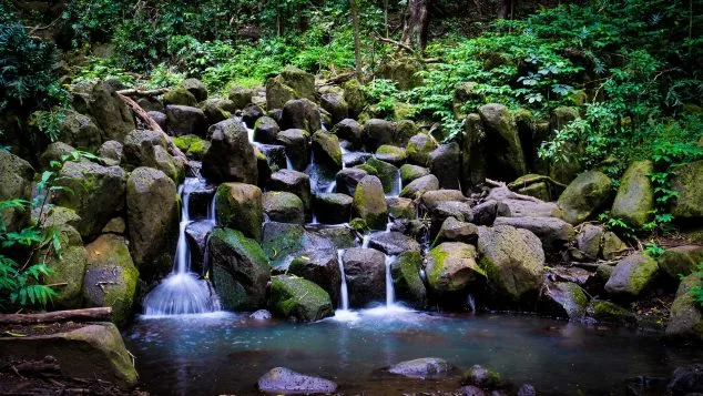 Small cascading waterfalls flowing over moss-covered rocks along the Wailua River trail, part of Kayak Adventures Kauai’s scenic route.
