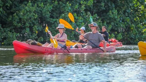 Couple kayaking on the Wailua River surrounded by lush jungle scenery during a guided Kayak Adventures Kauai excursion.