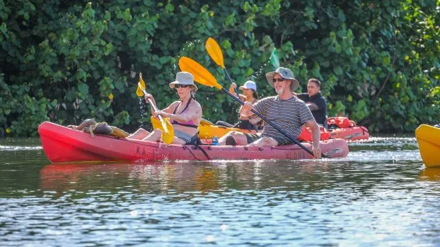 Couple kayaking on the Wailua River surrounded by lush jungle scenery during a guided Kayak Adventures Kauai excursion.