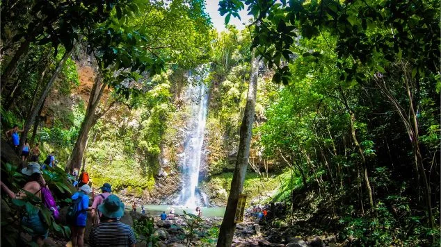Travelers arriving at the stunning Secret Falls waterfall on Kauai, a scenic destination reached via Kayak Adventures Kauai’s guided tours.