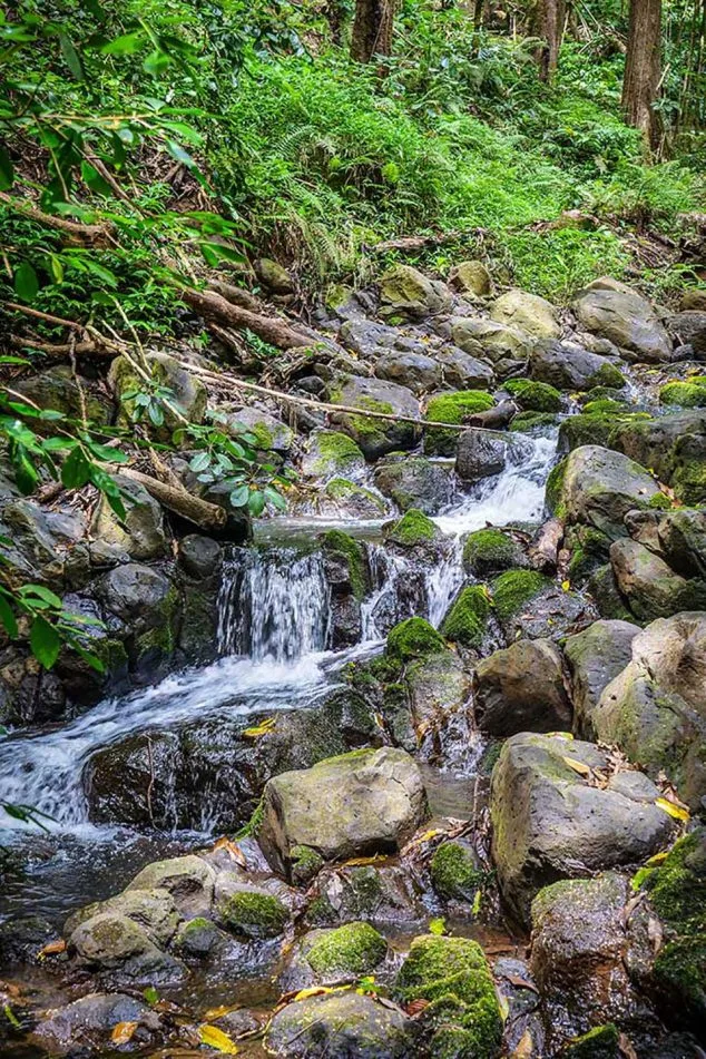 Small moss-covered stream cascading over rocks along the Wailua River hiking trail, explored on a Kayak Adventures Kauai tour.
