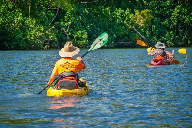 Kayakers paddling down the scenic Wailua River with a trained, local river guide following, on a guided adventure with Kayak Adventures Kauai.
