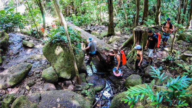 Group of hikers navigating a tropical forest trail during a Kayak Adventures Kauai waterfall tour.