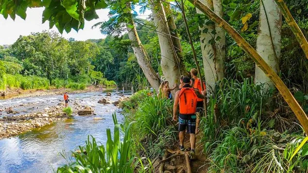 Kayak Adventures Kauai guests hiking alongside the Wailua River toward Secret Falls waterfall.