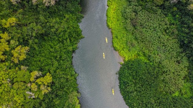 Kayak Adventures Kauai guided Wailua River kayak tour through lush jungle scenery on Kauai, Hawaii