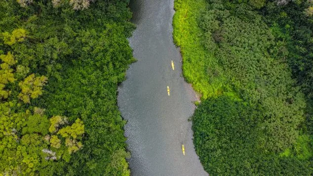 Kayak Adventures Kauai guided Wailua River kayak tour through lush jungle scenery on Kauai, Hawaii
