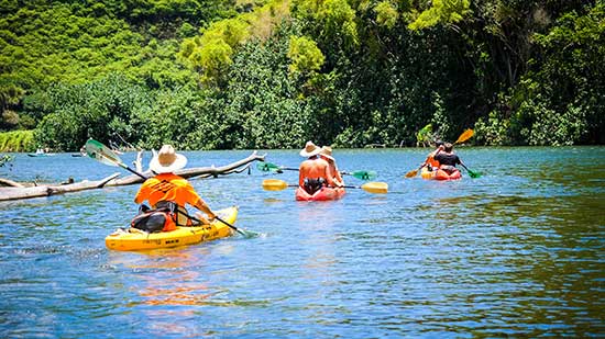 A group of kayakers on a Kayak Adventures Kauai tour kayaking along the Wailua River, Kauai, HI.